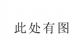 柳城为什么选择专业追讨公司来处理您的债务纠纷？